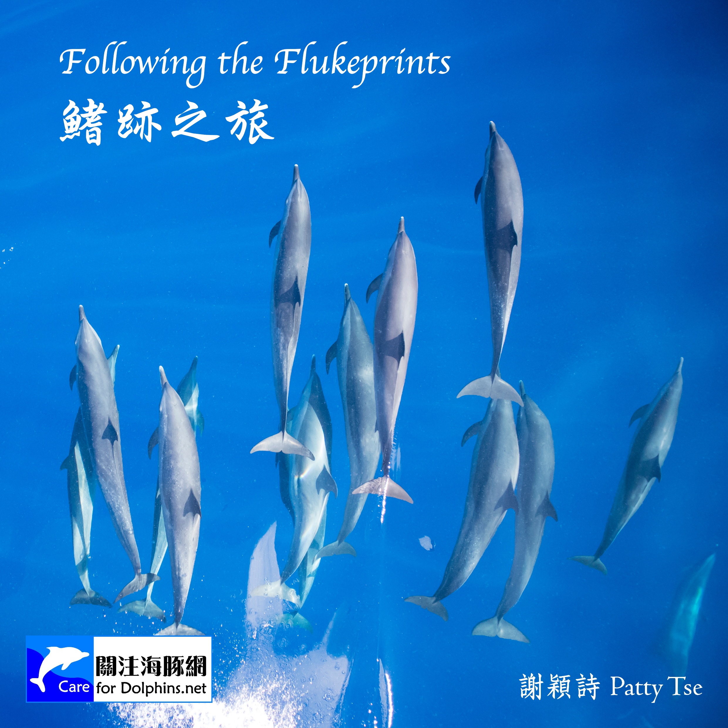 Following the Flukeprints